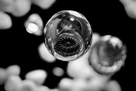 Orb_BWA_Calabasas_California_2024 copy.jpg