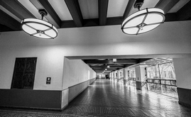 Ceiling Lights_Union Station_CA_2026.jpg